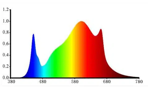 FSM spectrum g bars